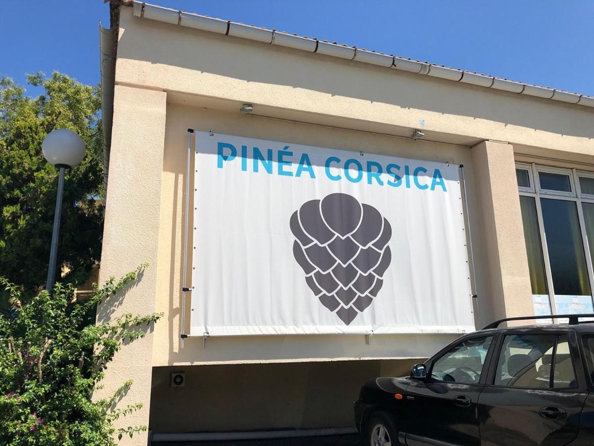 Duplex Renove Les Pieds Dans L'eau Calvi (Corsica)