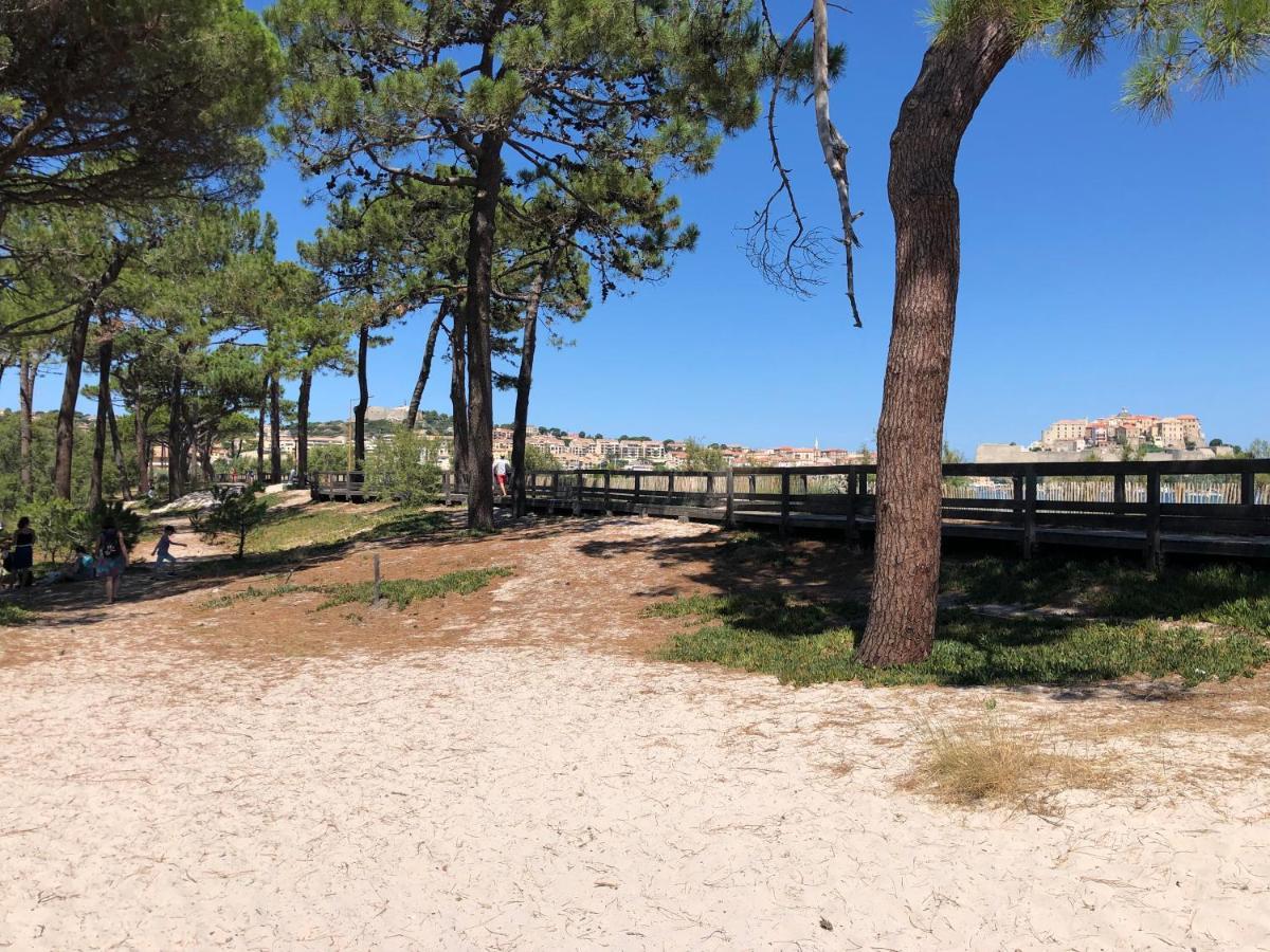 Duplex Renove Les Pieds Dans L'eau Apartment Calvi (Corsica)