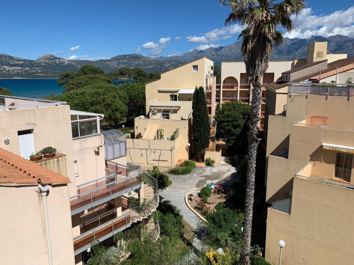 Apartment Duplex Renove Les Pieds Dans L'eau Calvi (Corsica)