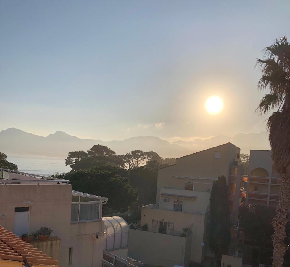 Duplex Renove Les Pieds Dans L'eau * Calvi (Corsica)
